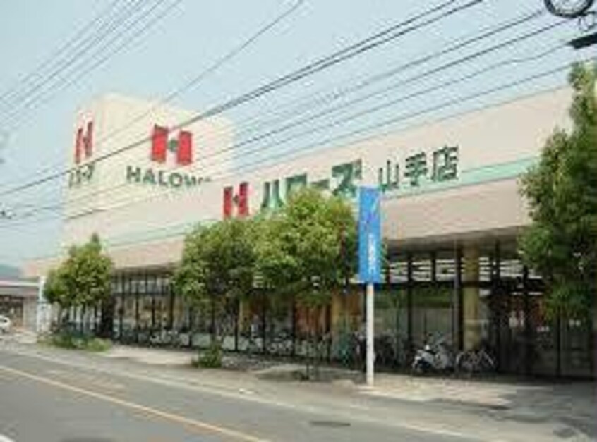 ハローズ山手店(スーパー)まで566m ノースカントリーＢ