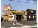 CoCo壱番屋福山引野町店(その他飲食（ファミレスなど）)まで446m グラン　アーク