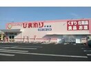 スーパードラッグひまわり手城店(ドラッグストア)まで769m プラムガーデンD