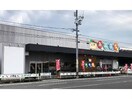 業務スーパーエブリイ引野店(スーパー)まで1596m ソラール
