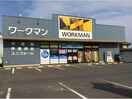 ワークマン福山新涯店(ショッピングセンター/アウトレットモール)まで672m グリーン　オレンジ　B