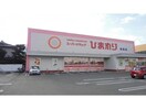 スーパードラッグひまわり新涯店(ドラッグストア)まで179m Luminous　B棟