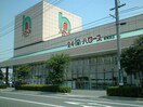 ハローズ東尾道店(スーパー)まで1383m ラ　プロスペリテ　A