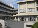 福山市立大津野小学校(小学校)まで1508m ウィスティリアⅡ