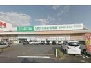 ザグザグ大門店(ドラッグストア)まで685m ベラ　クオーレⅠ