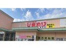 スーパードラッグひまわり緑町店(ドラッグストア)まで459m アルファステイツ光南町