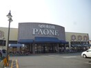 旬鮮食彩館PAONE(スーパー)まで611m Ｖｉｌｌａ　Ｐａｐａ‘ｓ