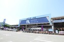 ﾎｰﾑﾌﾟﾗｻﾞﾅﾌｺ 上郡店(電気量販店/ホームセンター)まで1337m グリーンパレスII