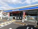 ﾛｰｿﾝ 本竜野店(コンビニ)まで513m メゾン・ド・富永