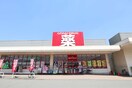 ｺﾞﾀﾞｲﾄﾞﾗｯｸﾞ 上郡南店(ドラッグストア)まで430m ビックバイト