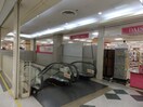 ｻﾞ･ﾀﾞｲｿｰ ｺｰﾌﾟﾃﾞｲｽﾞ相生店(スーパー)まで1090m しらさぎハイツ　相生駅前
