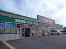 キリン堂揖保川店（ドラッグストア）まで4，500ｍ メイプル・パラーシオ