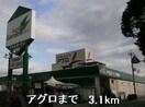 アグロまで3100m カプリス　コート　ベースIII