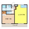 エルシティ大塚 1LDKの間取り