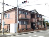 ウィルモア・Y