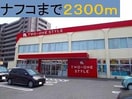 ホームプラザナフコ宮崎店(電気量販店/ホームセンター)まで1171m GRACE G-life