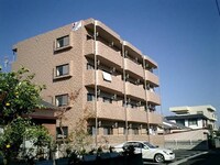 エリュシオン新名爪