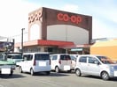  カーサローズマリー