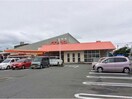 コープみやざき柳丸店(スーパー)まで1199m アルディエンテ