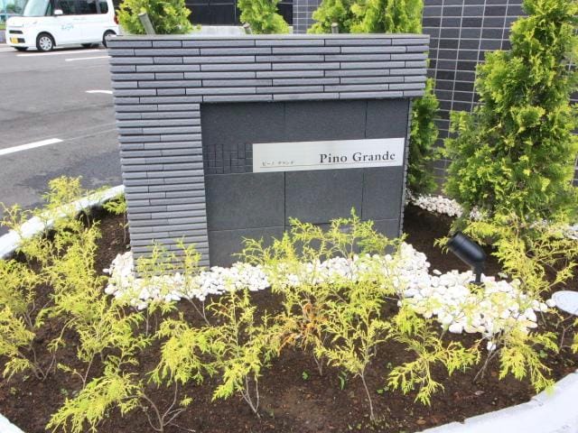  ピーノ　グランデ