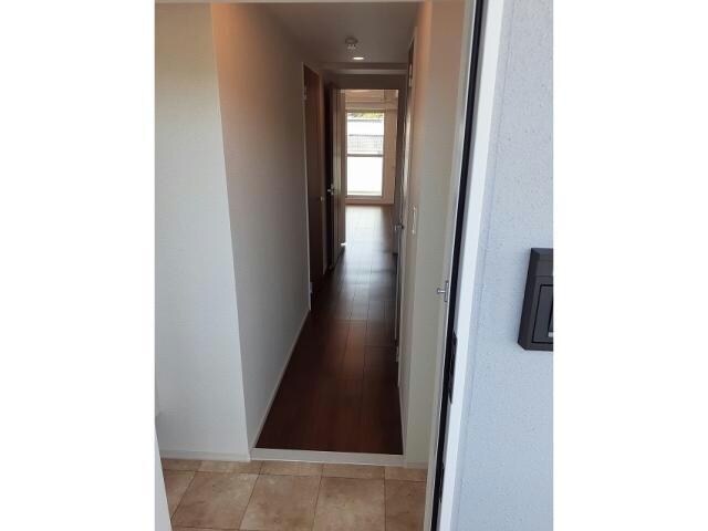  ピーノ　グランデ