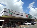  Tea　Tree