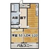 D Building 1LDKの間取り
