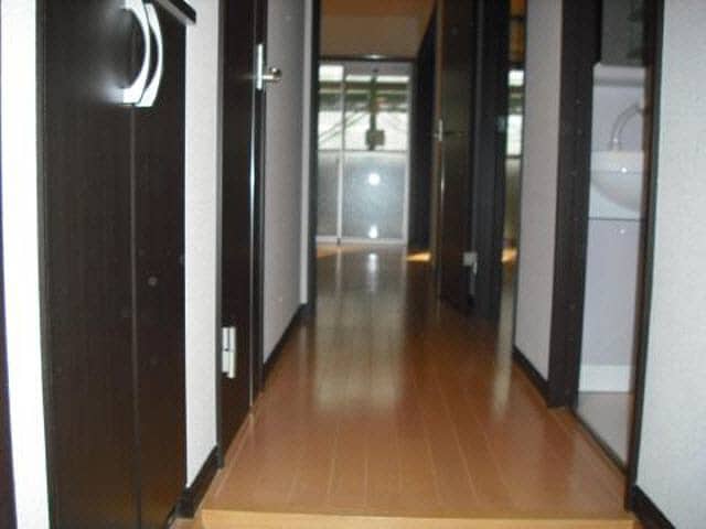  ヴィスコンティ