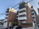 アルテマイスター　イオの外観