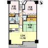 サーパス緑が丘 3LDKの間取り