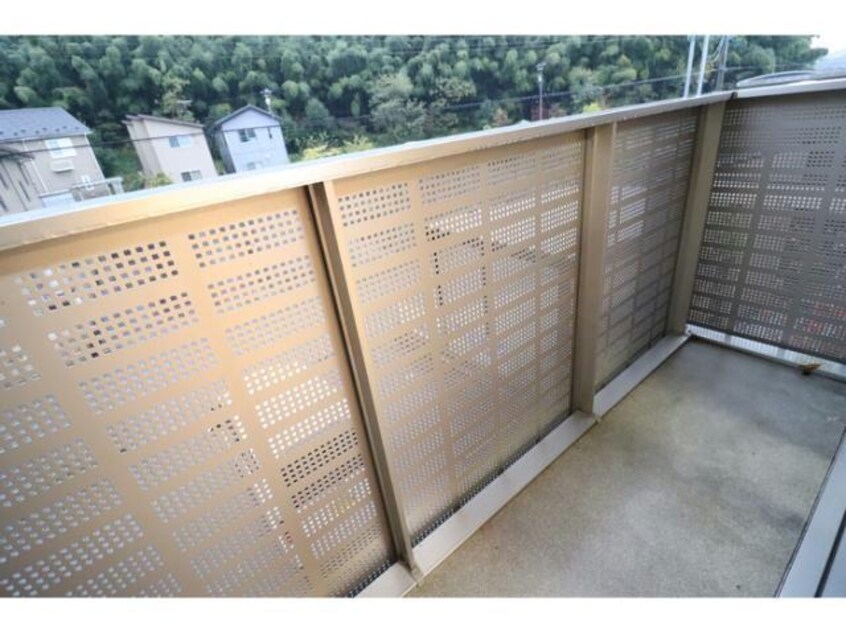  Ｖｏｓｇｅｓ（ｳﾞｫｰｼﾞｭ）