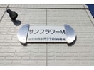  サンフラワーM