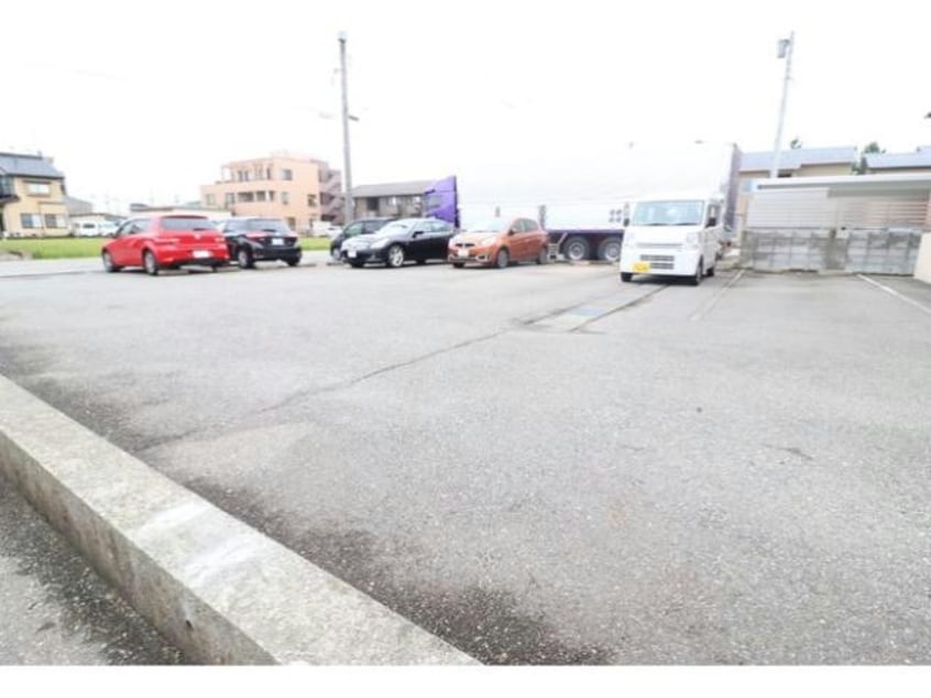  Ｓｔｅｌｌａ Ｃｃｅｕｒ（ｽﾃﾗｸｰﾙ）