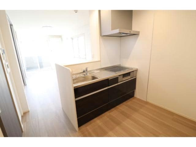  Netherland(ネザーランド）