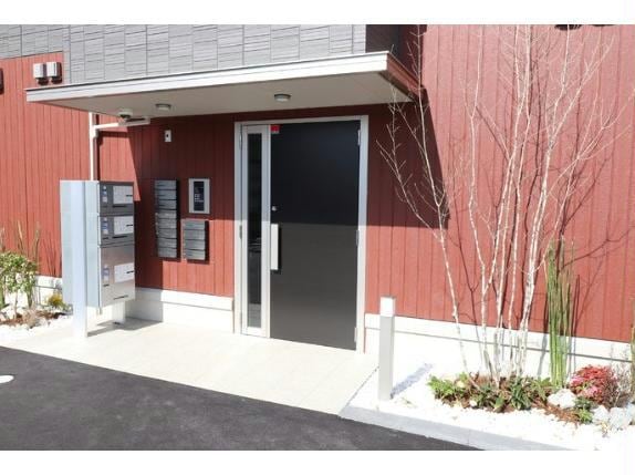  Netherland(ネザーランド）