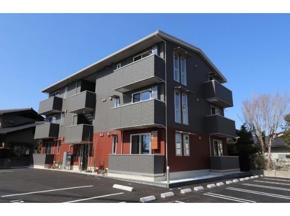  Netherland(ネザーランド）