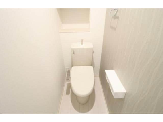  Netherland(ネザーランド）