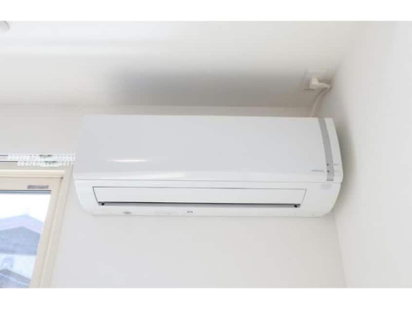  Netherland(ネザーランド）