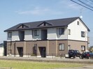 キャロットの外観