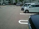  プラセール