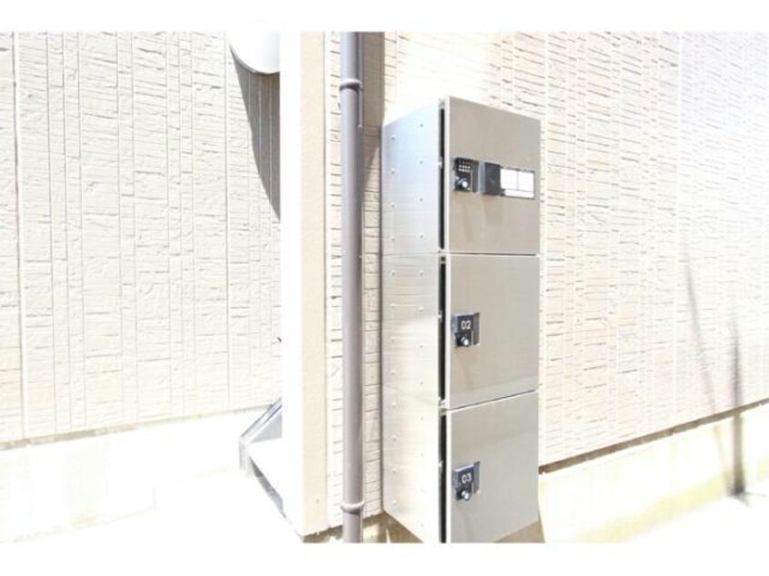  ﾎﾞﾝﾇ･ｼｬﾝｽⅡ