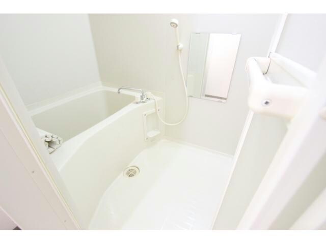  ﾎﾞﾝﾇ･ｼｬﾝｽⅡ