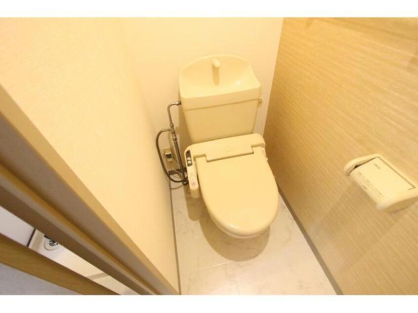  ﾎﾞﾝﾇ･ｼｬﾝｽⅡ