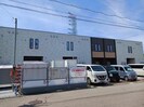 イエローキャロルの外観