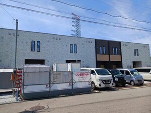 イエローキャロル