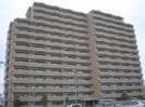 ロイヤルシャトー泉本町の外観