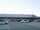 その他 モダニスタ
