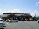 その他 モダニスタ
