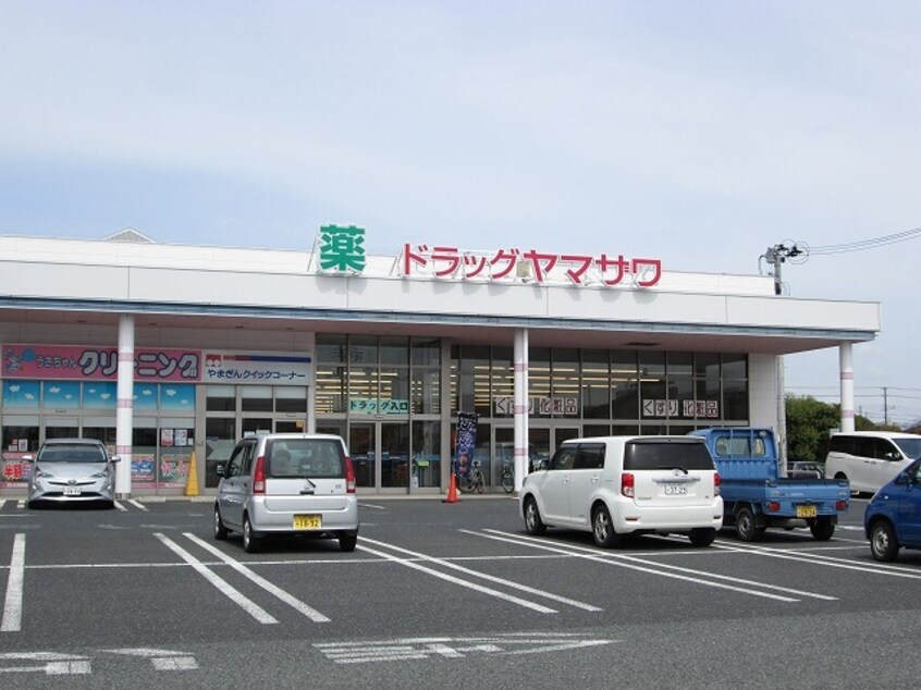その他 モダニスタ
