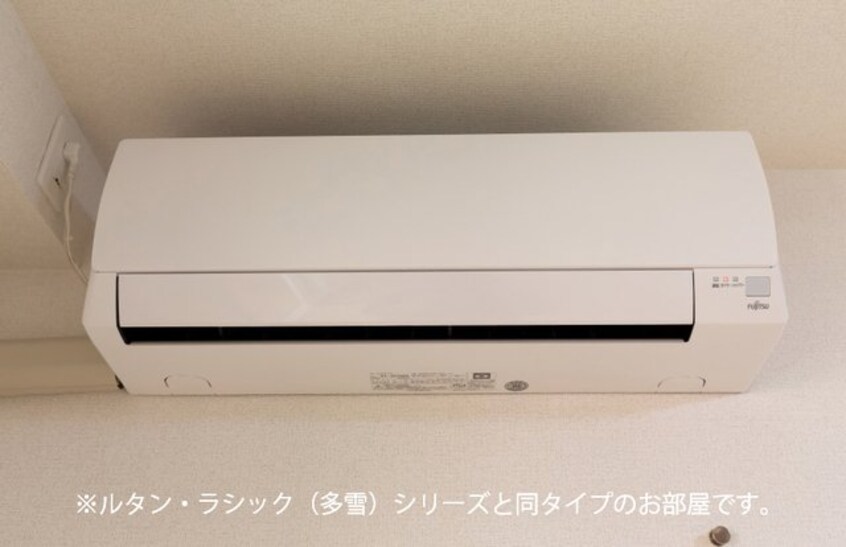 その他 サンフラワー